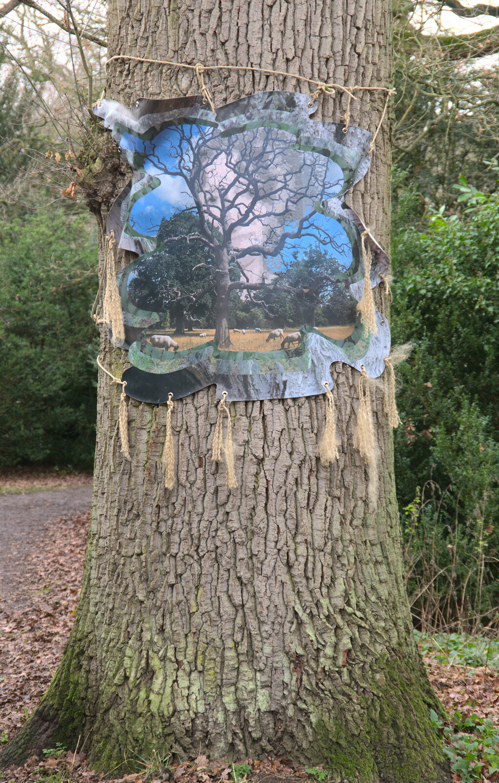 More hanging tree art from Ickworth House, Horringer, Suffolk - 29th December 2018
