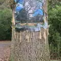 More hanging tree art, Ickworth House, Horringer, Suffolk - 29th December 2018