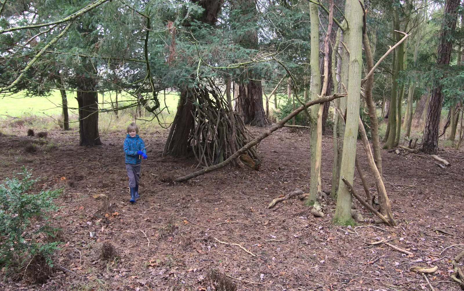 Harry roams around near a pre-built den, from Ickworth House, Horringer, Suffolk - 29th December 2018