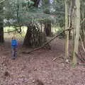 Harry roams around near a pre-built den, Ickworth House, Horringer, Suffolk - 29th December 2018