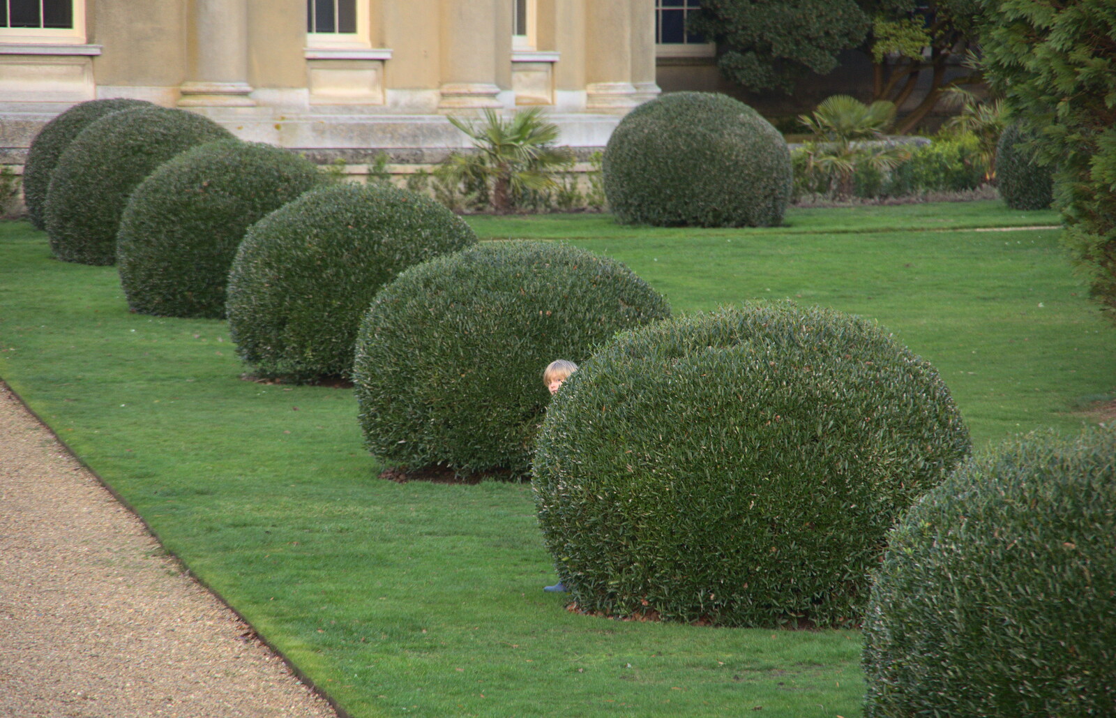 Harry tries to do some hiding from Ickworth House, Horringer, Suffolk - 29th December 2018