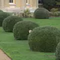 Harry tries to do some hiding, Ickworth House, Horringer, Suffolk - 29th December 2018