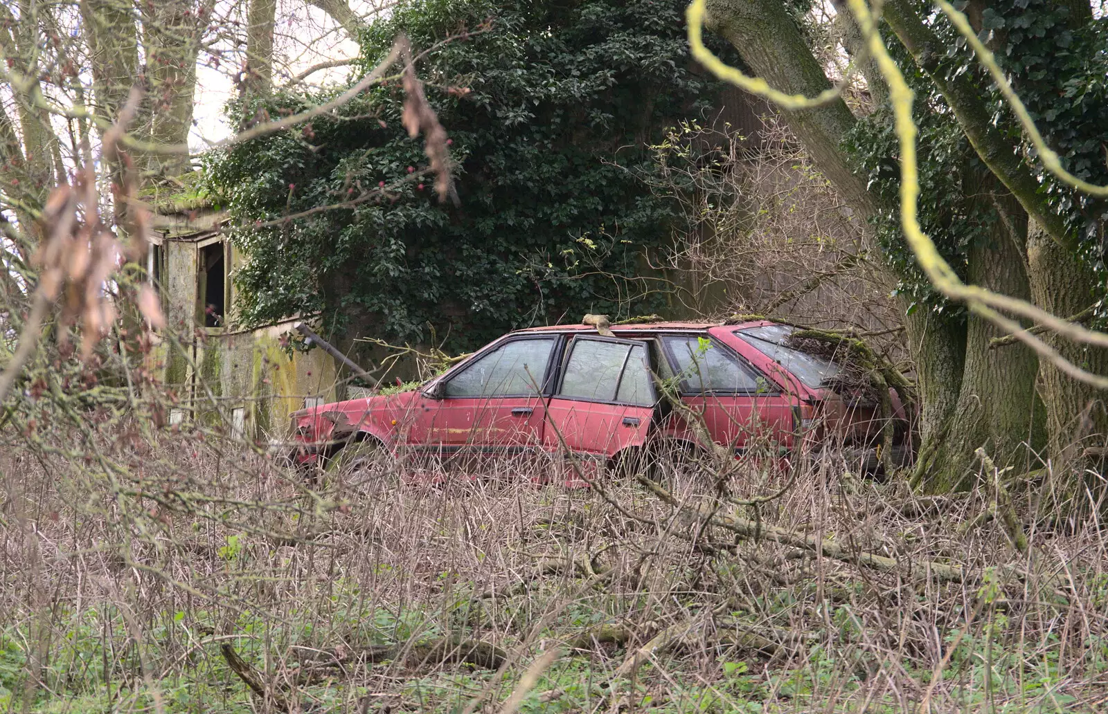 A derelict car in the woods, from New Year's Eve and Day, Brome, Suffolk - 1st January 2019