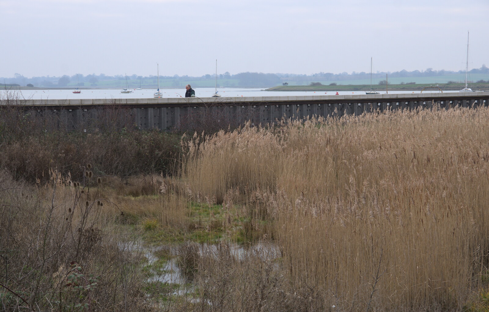 Some dude walks along the sea wall by the marshes from A Postcard From Woodbridge, Suffolk - 4th January 2019