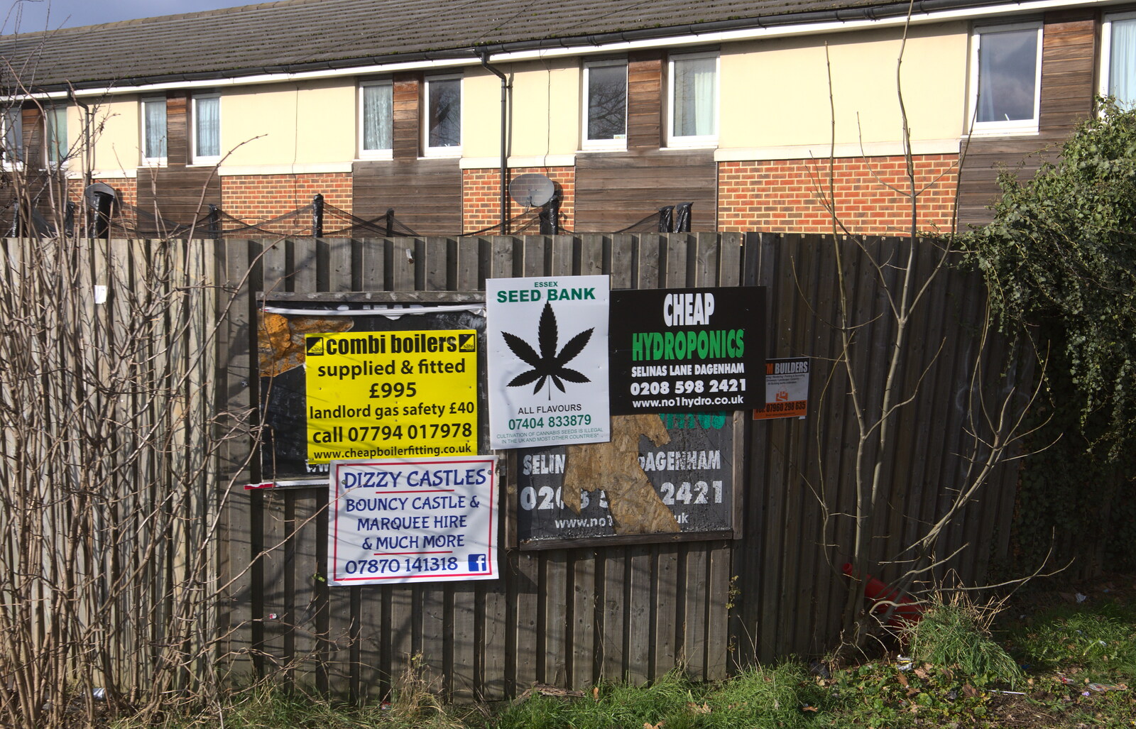 There's a lot of drug paraphernalia for sale from A Wintry Trip Down South, Walkford, Dorset - 1st February 2019