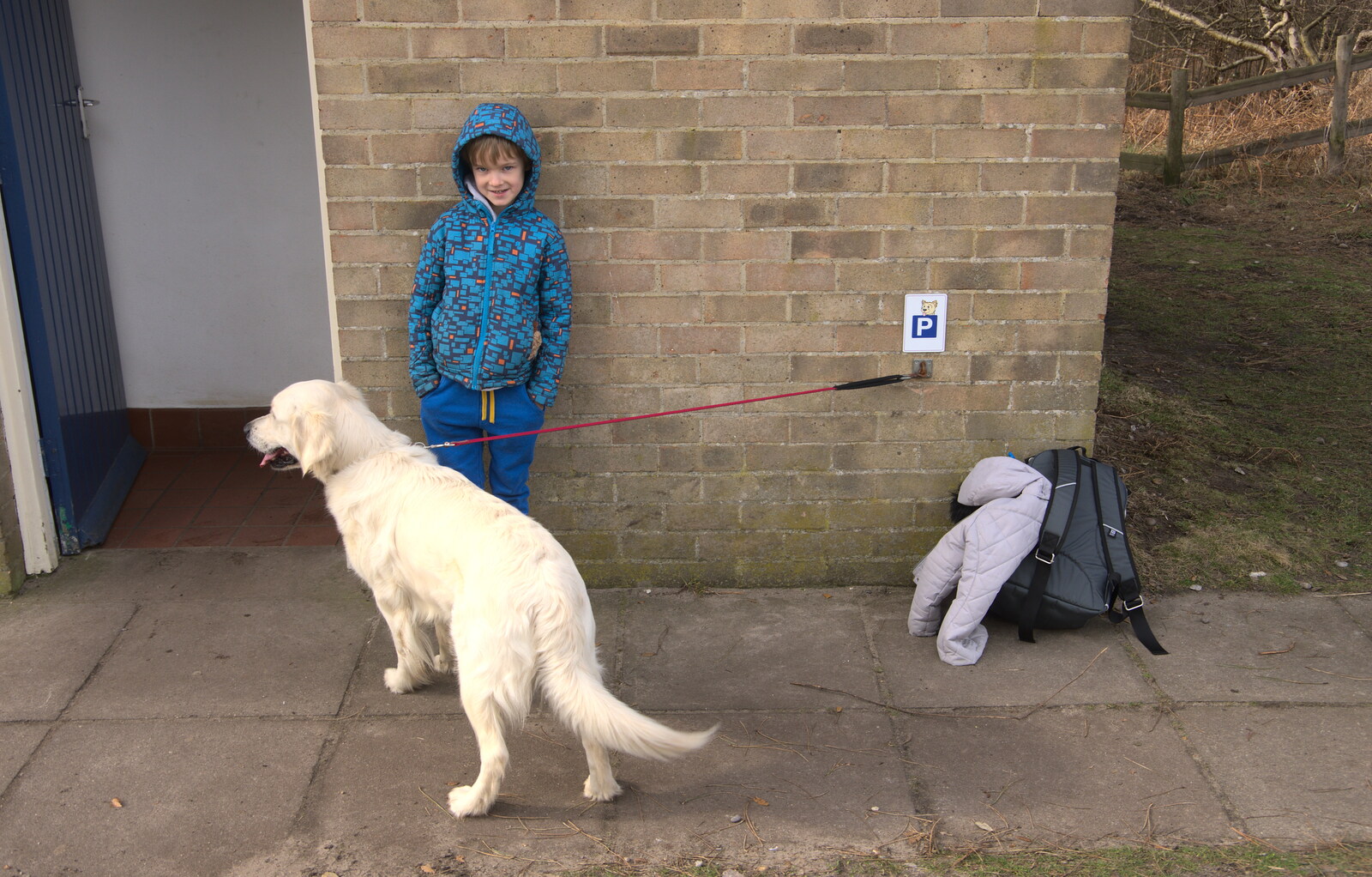 Harry hangs around outside the bogs with a dog from A Trip to Dunwich Heath, Dunwich, Suffolk - 17th February 2019