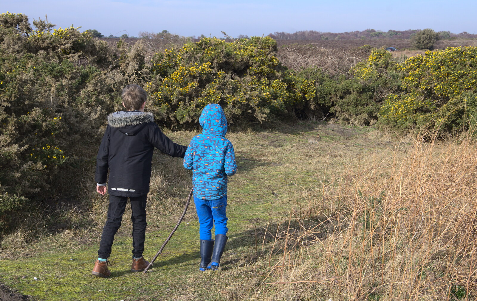 Fred and Harry go to see a rabbit from A Trip to Dunwich Heath, Dunwich, Suffolk - 17th February 2019