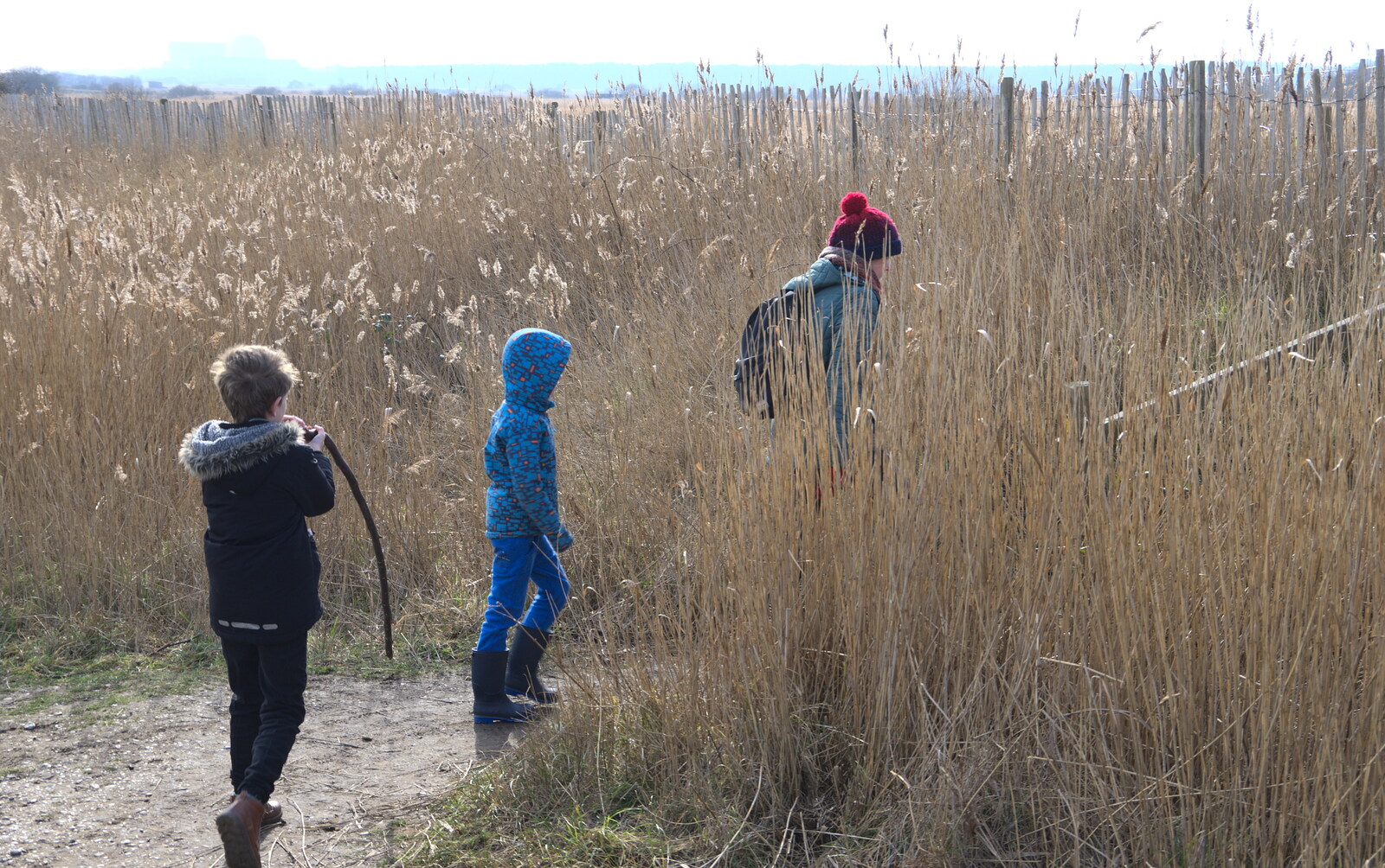 The gang disappear into the reeds from A Trip to Dunwich Heath, Dunwich, Suffolk - 17th February 2019