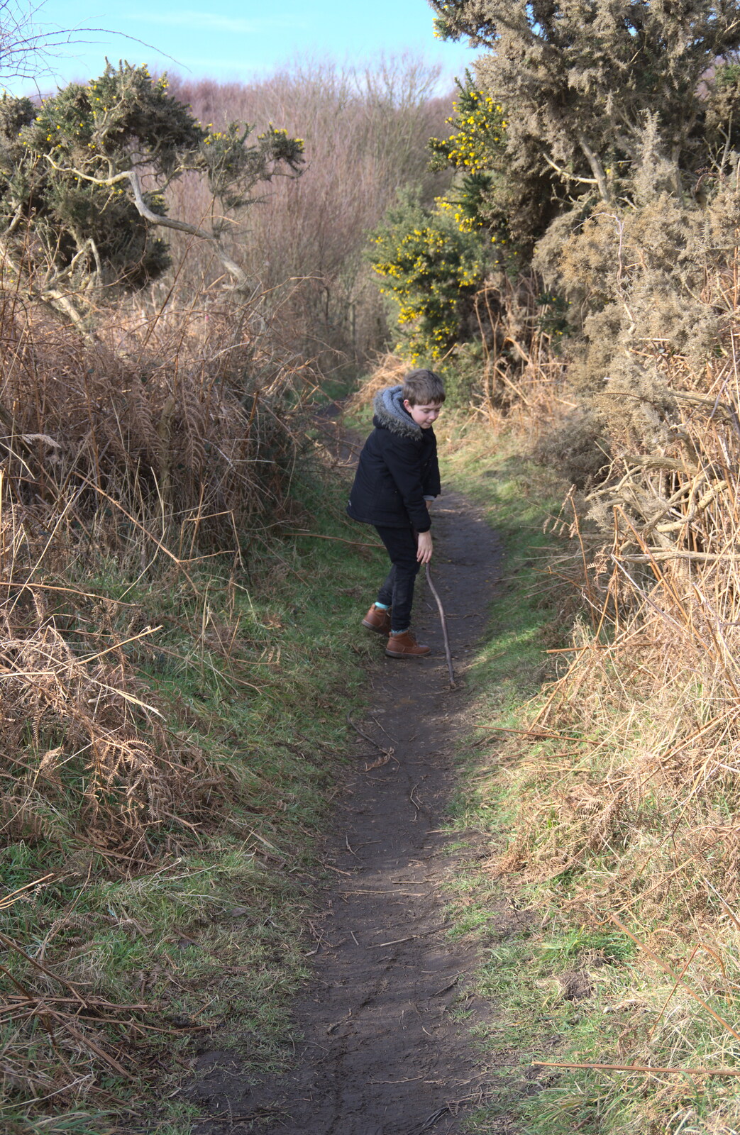Fred draws a trail with a stick from A Trip to Dunwich Heath, Dunwich, Suffolk - 17th February 2019