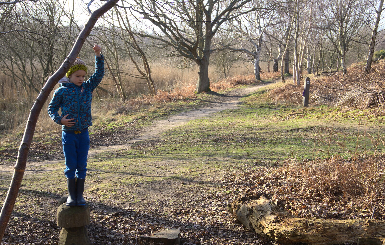 Harry stands on a wooden mushroom from A Trip to Dunwich Heath, Dunwich, Suffolk - 17th February 2019