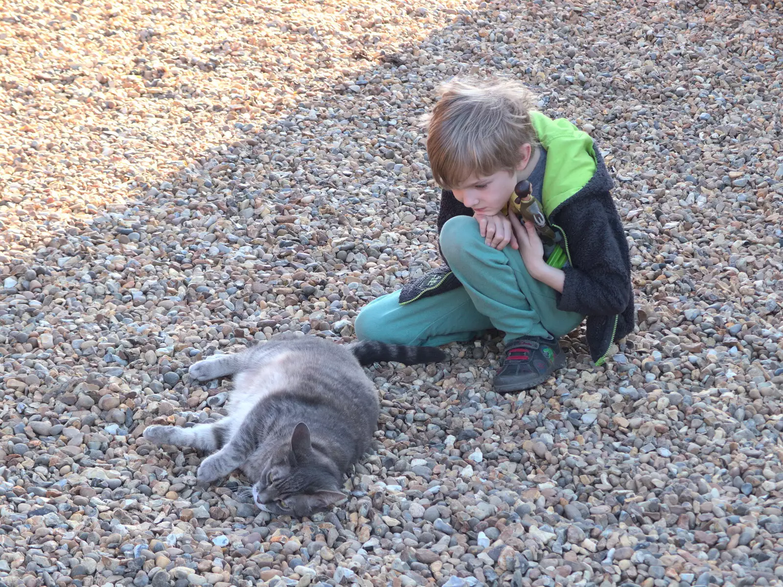 Harry interacts with Boris - Stripey Cat, from Diss Express Photos and a Garden Den, Eye, Suffolk - 23rd February 2019