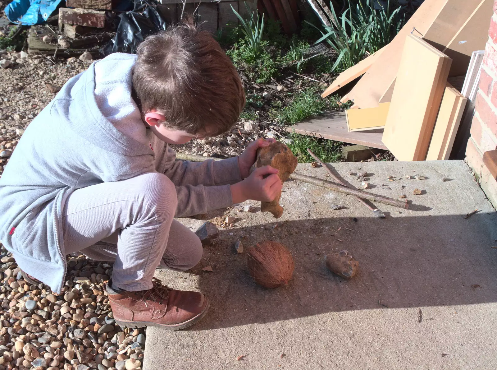 Fred smashes open a coconut with a rock, from Diss Express Photos and a Garden Den, Eye, Suffolk - 23rd February 2019