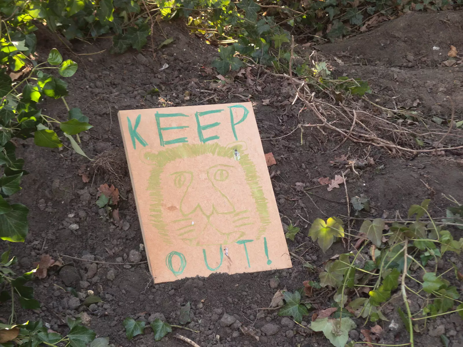 The boys have a sign on their den, from Diss Express Photos and a Garden Den, Eye, Suffolk - 23rd February 2019