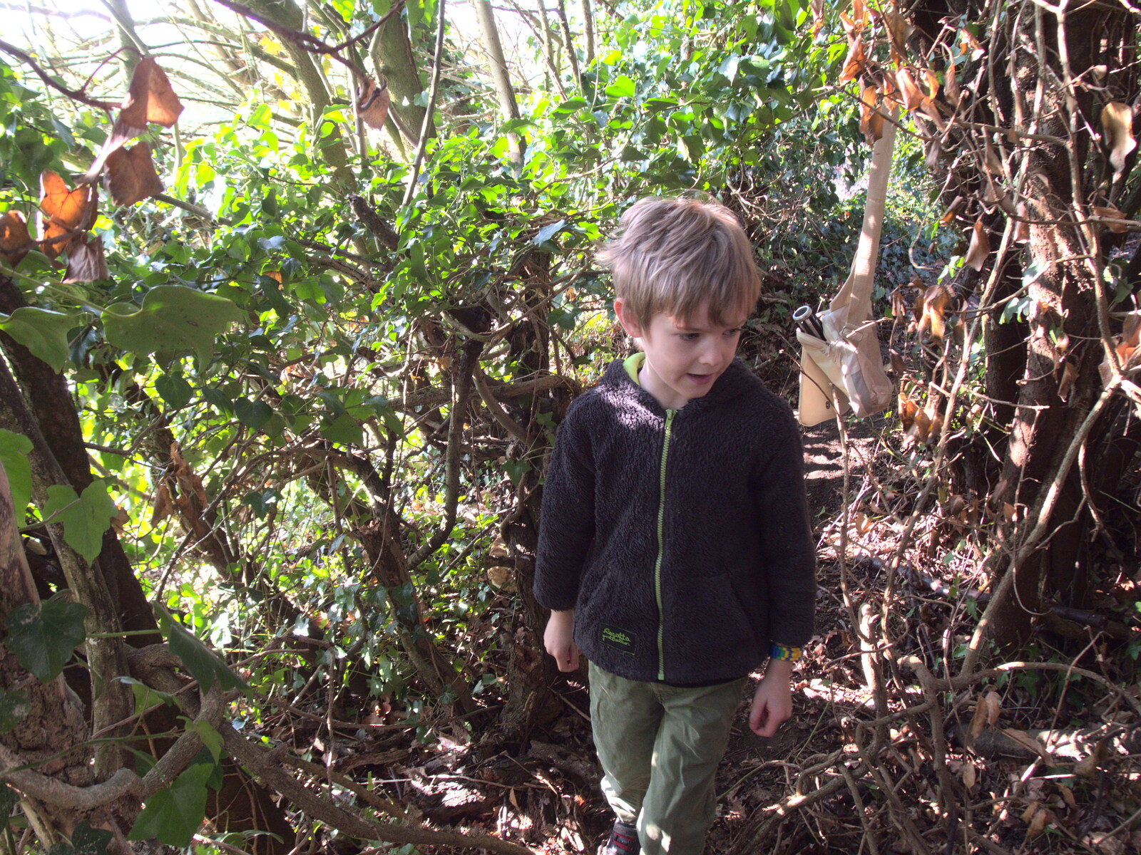 Harry in the den from Diss Express Photos and a Garden Den, Eye, Suffolk - 23rd February 2019