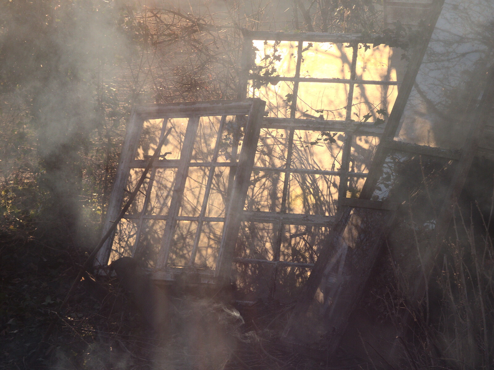 Smokey old windows from Diss Express Photos and a Garden Den, Eye, Suffolk - 23rd February 2019
