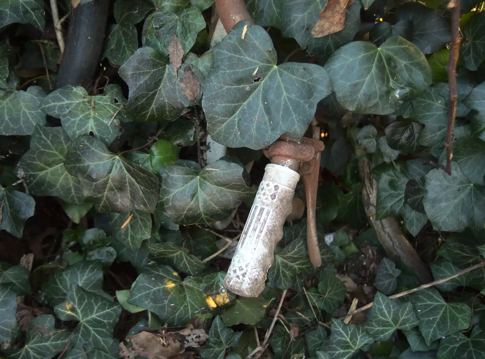 A bicycle handle peeks out, from Diss Express Photos and a Garden Den, Eye, Suffolk - 23rd February 2019