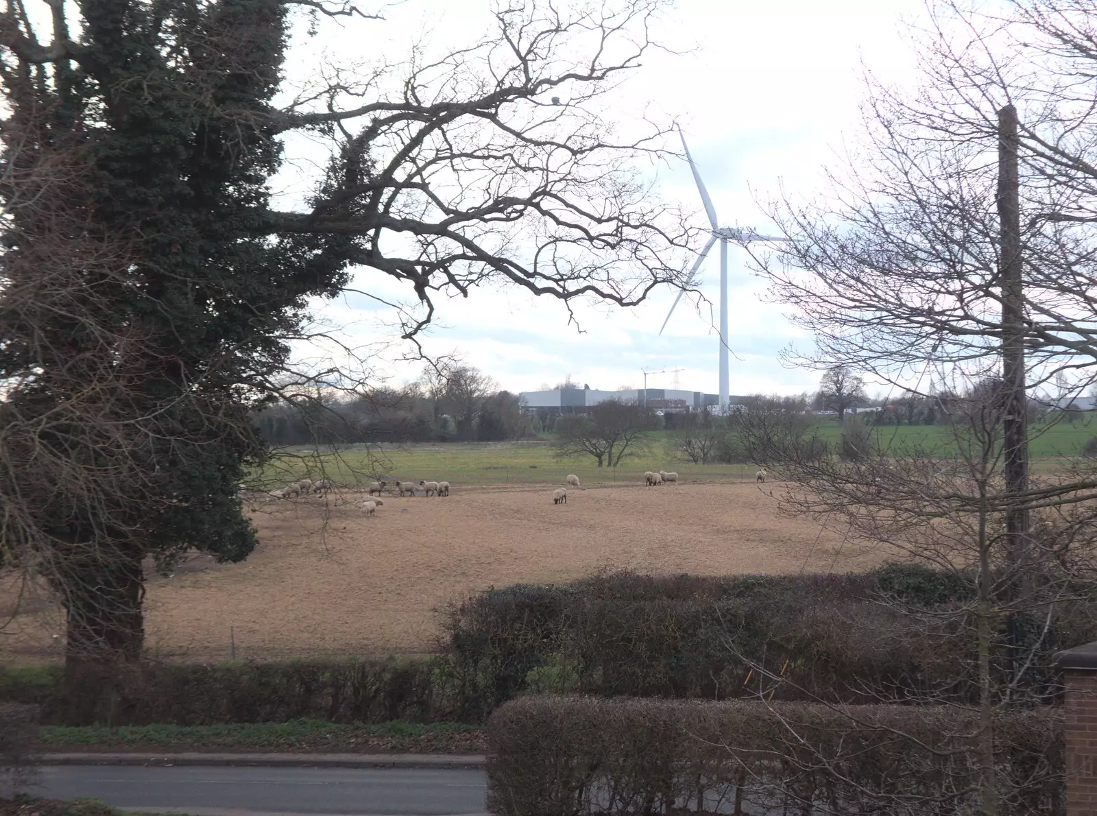 Grandad's new view has some sheep in it, from The G-Unit Moves In, Eye, Suffolk - 4th March 2019