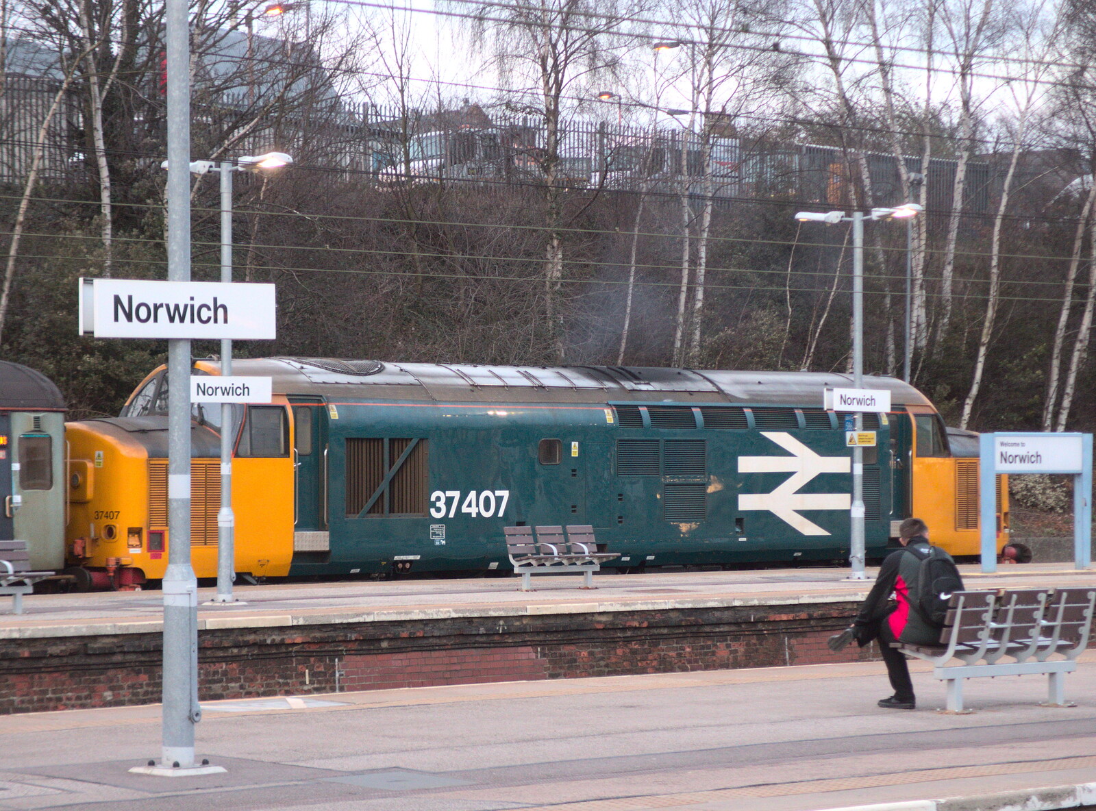 Class 37 37407 in BR livery from Off to the Cinema Again, Norwich, Norfolk - 9th March 2019