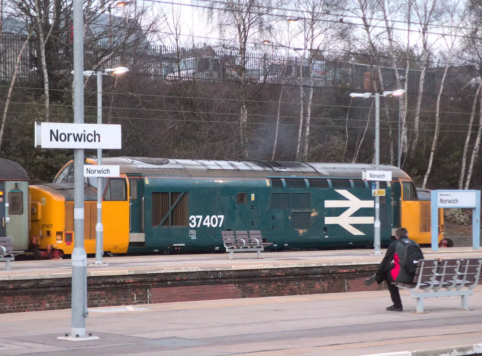 Class 37 37407 in BR livery, from Off to the Cinema Again, Norwich, Norfolk - 9th March 2019