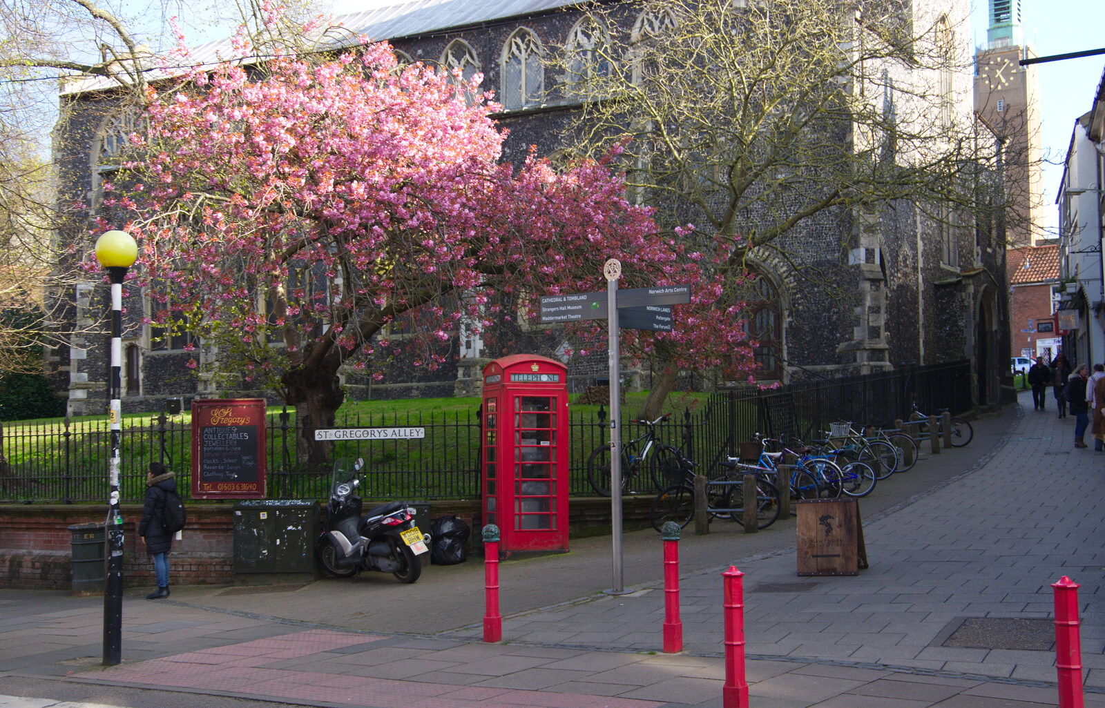 Cherry blossom at the bottom of St. Gregory's Alley from Singing in John Lewis, Norwich, Norfolk - 13th April 2019
