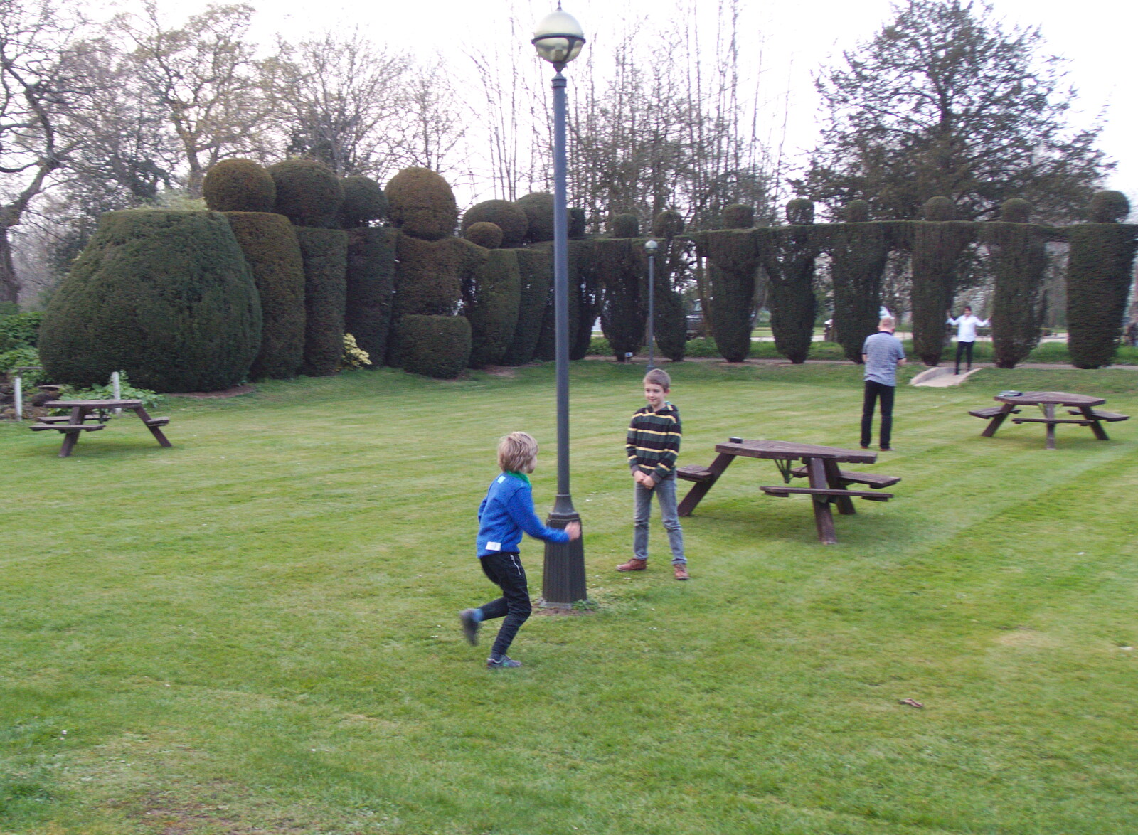 Running around amongst the topiary from Lunch in the Oaksmere, Brome, Suffolk - 14th April 2019
