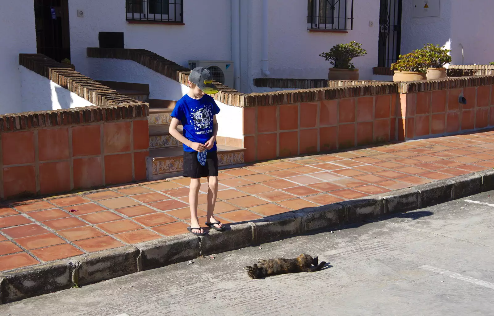 Harry looks at Mini the cat, from A Holiday in Nerja, Andalusia, Spain - 15th April 2019