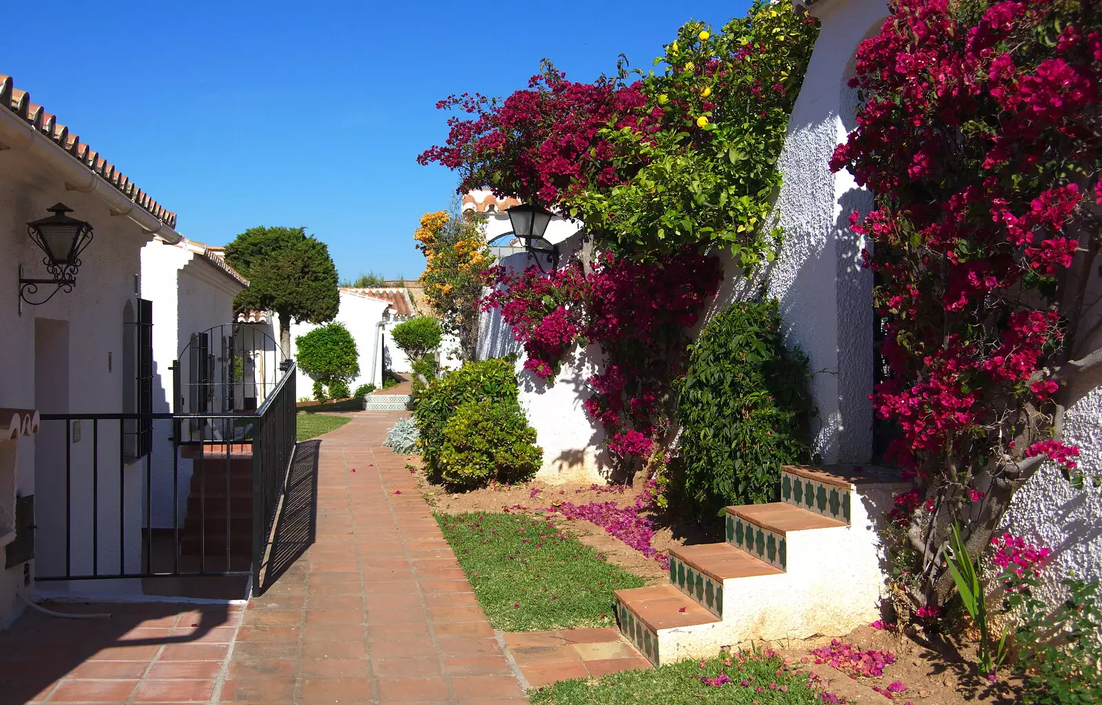 Tons of bougainvillea, from A Holiday in Nerja, Andalusia, Spain - 15th April 2019