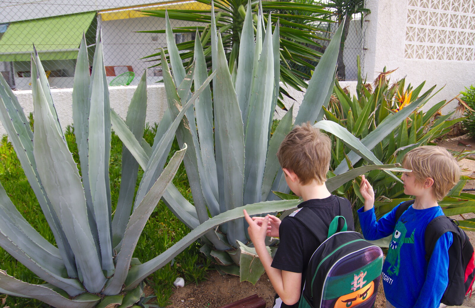 The boys check out the spiky plants from Torrecilla Beach and the Nerja Museum, Andalusia, Spain - 17th April 2019
