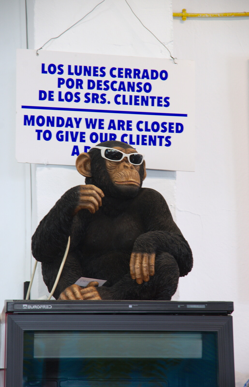 A comedy chimpanzee on a fridge from Torrecilla Beach and the Nerja Museum, Andalusia, Spain - 17th April 2019