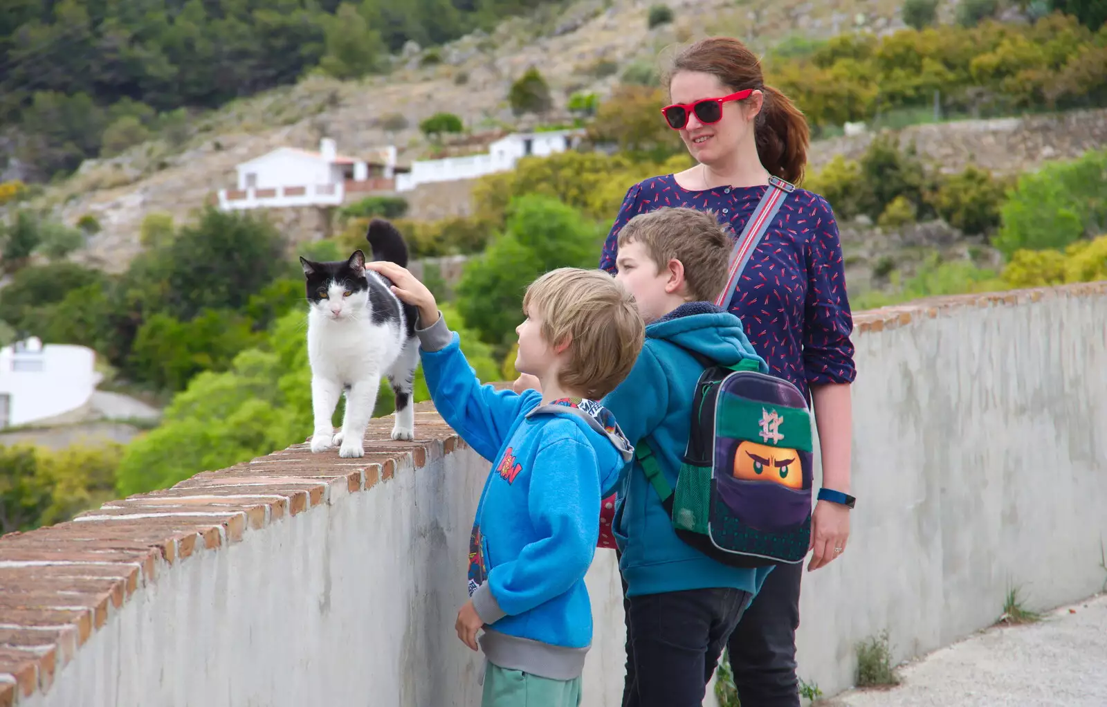 The boys find another cat, from The Caves of Nerja, and Frigiliana, Andalusia, Spain - 18th April 2019