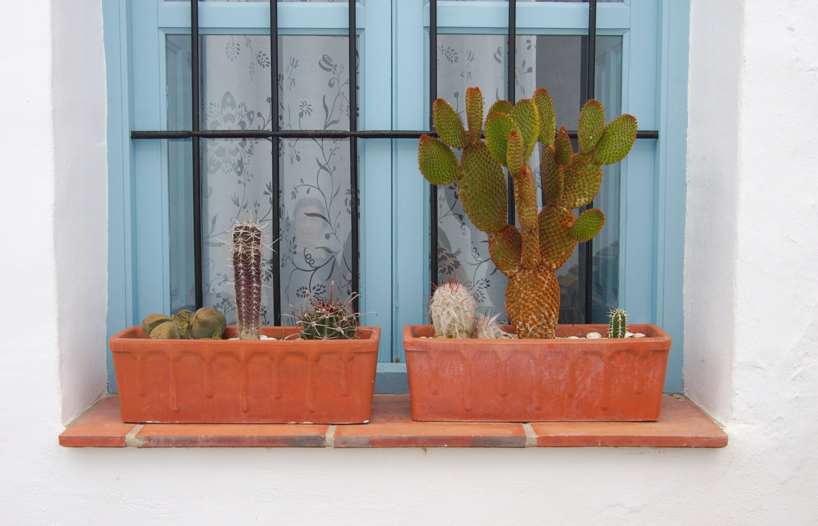 Amusing cacti on a windowsill from The Caves of Nerja, and Frigiliana, Andalusia, Spain - 18th April 2019