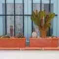 Amusing cacti on a windowsill, The Caves of Nerja, and Frigiliana, Andalusia, Spain - 18th April 2019