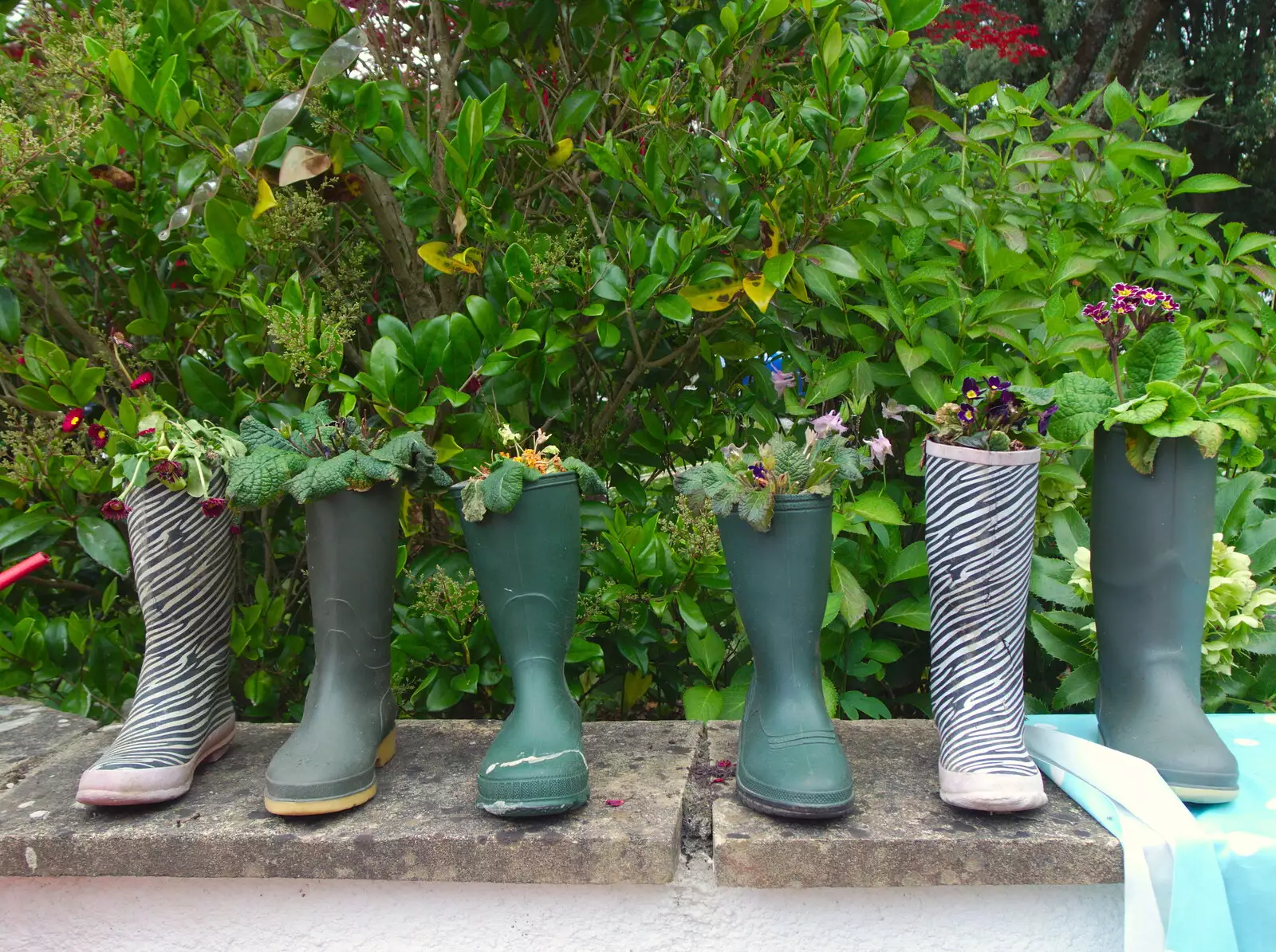 Some welly boots have been turned into plant pots, from Chagford Lido and a Trip to Parke, Bovey Tracey, Devon - 25th May 2019