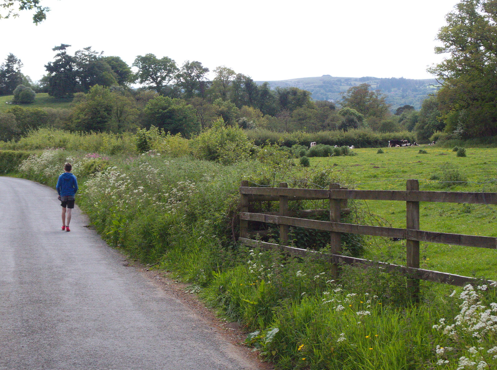 Chagford Lido and a Trip to Parke, Bovey Tracey, Devon - 25th May 2019: Someone's walking to Chagford