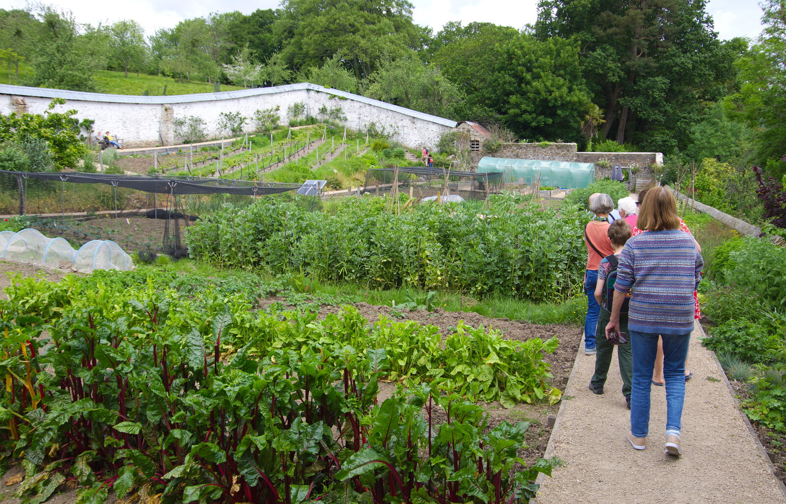 Grandma J in the walled garden from Chagford Lido and a Trip to Parke, Bovey Tracey, Devon - 25th May 2019