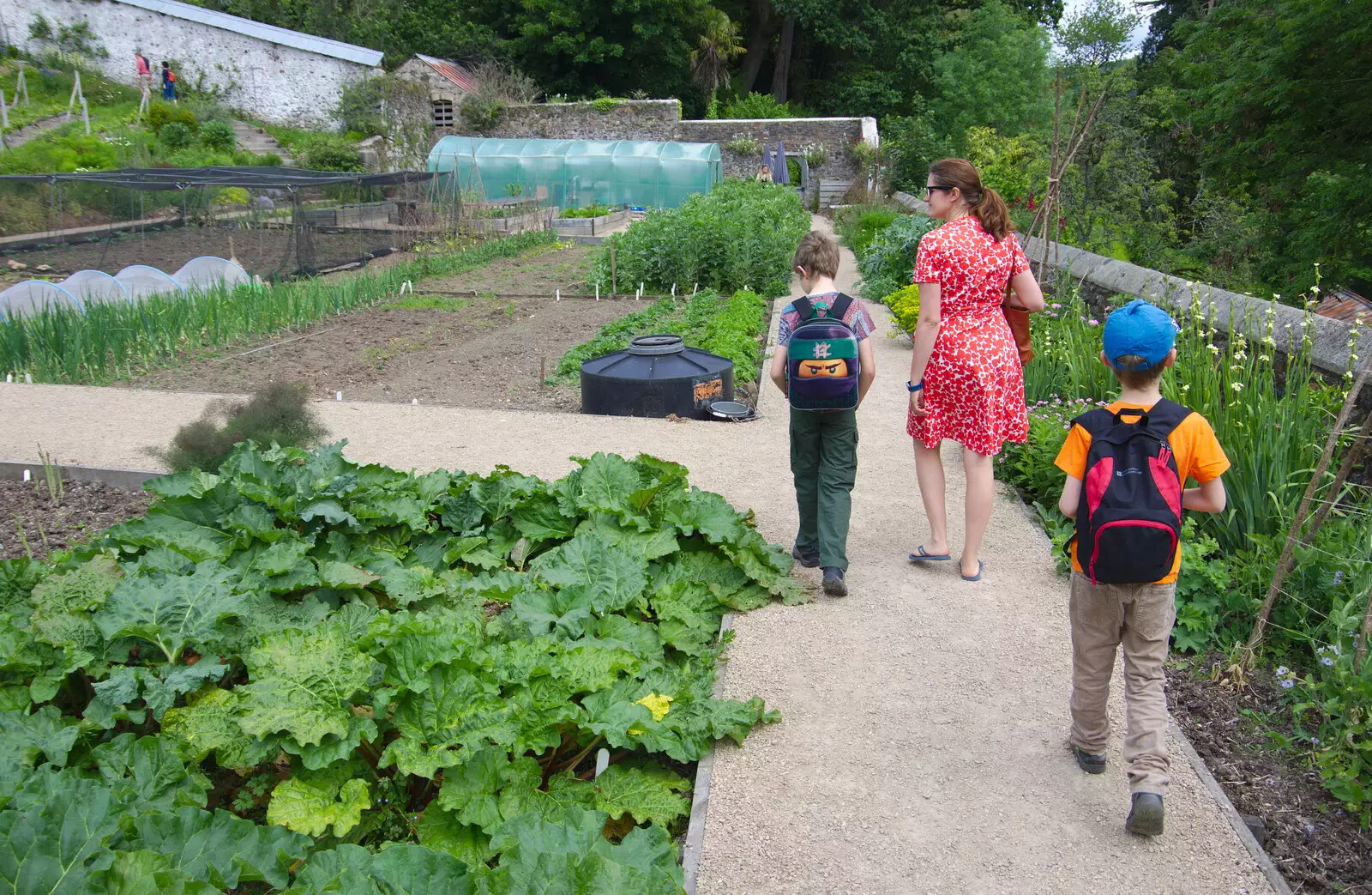 Roaming around the fruit and vegetables, from Chagford Lido and a Trip to Parke, Bovey Tracey, Devon - 25th May 2019