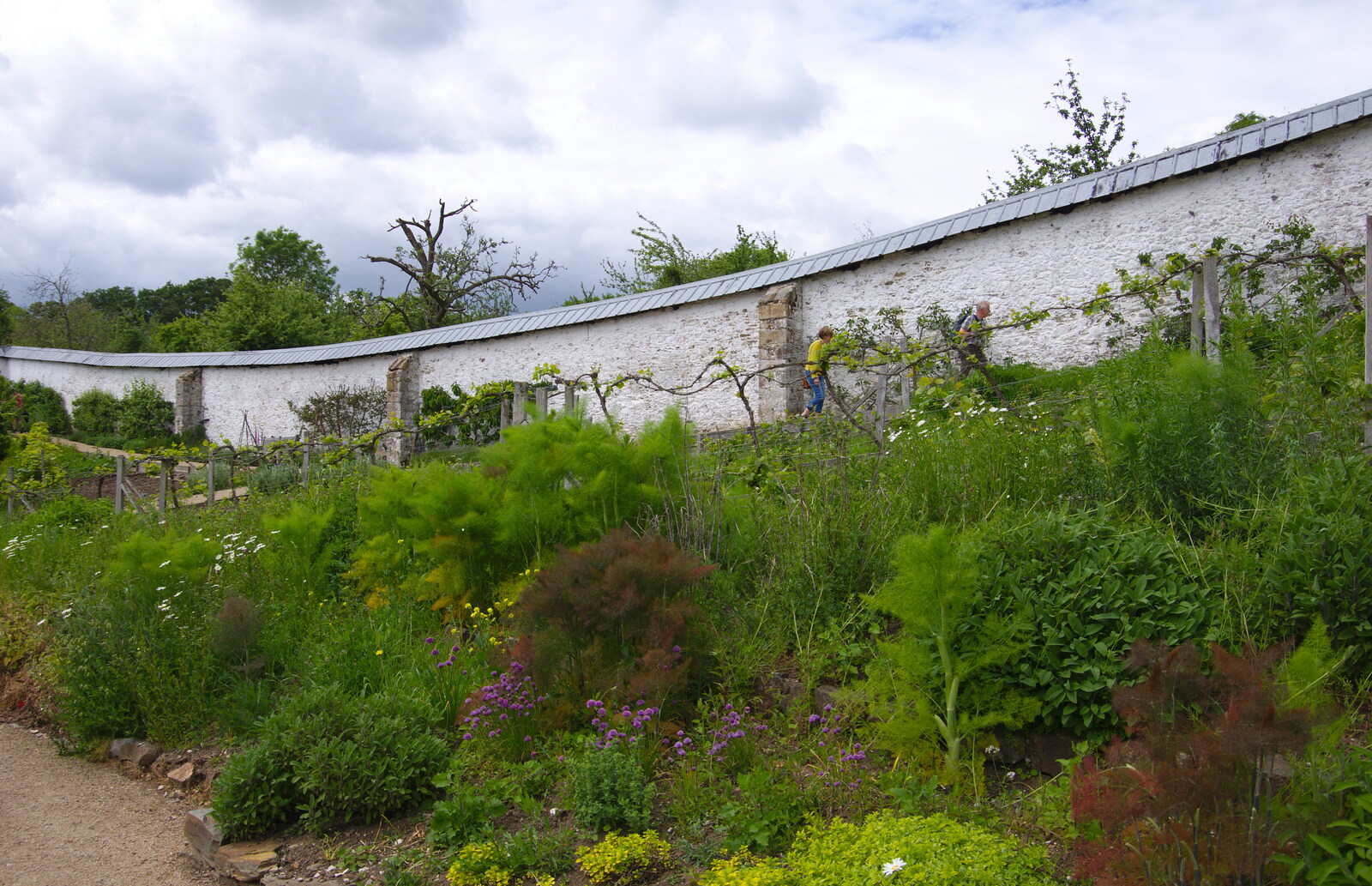 Chagford Lido and a Trip to Parke, Bovey Tracey, Devon - 25th May 2019: The unusually-shaped walled garden
