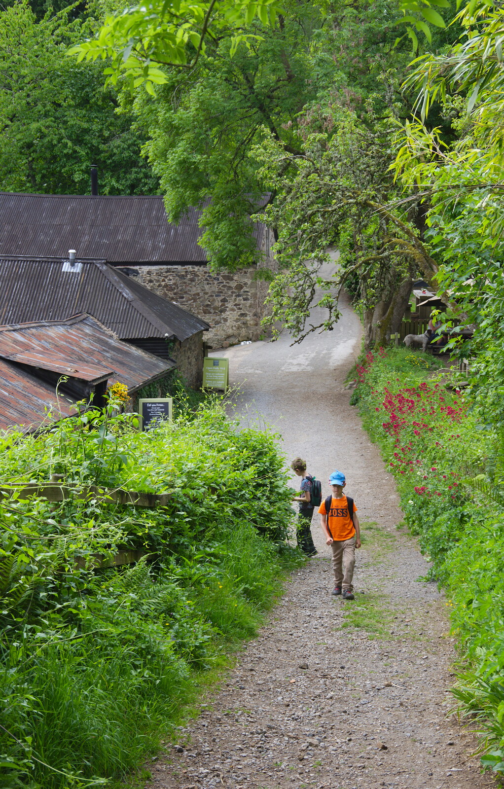 The boys on a path from Chagford Lido and a Trip to Parke, Bovey Tracey, Devon - 25th May 2019