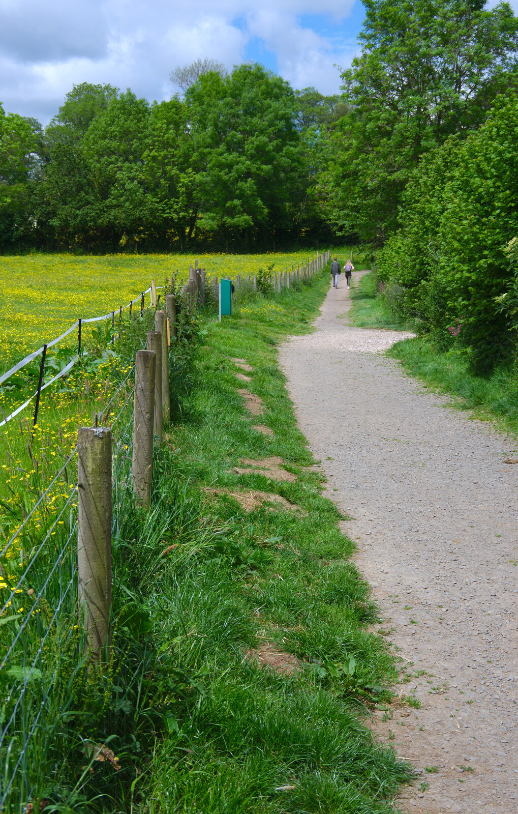A nice path from Chagford Lido and a Trip to Parke, Bovey Tracey, Devon - 25th May 2019