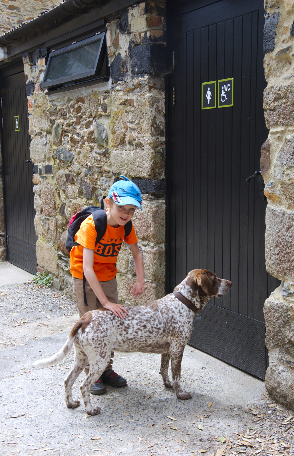Chagford Lido and a Trip to Parke, Bovey Tracey, Devon - 25th May 2019: Harry strokes the pining dog