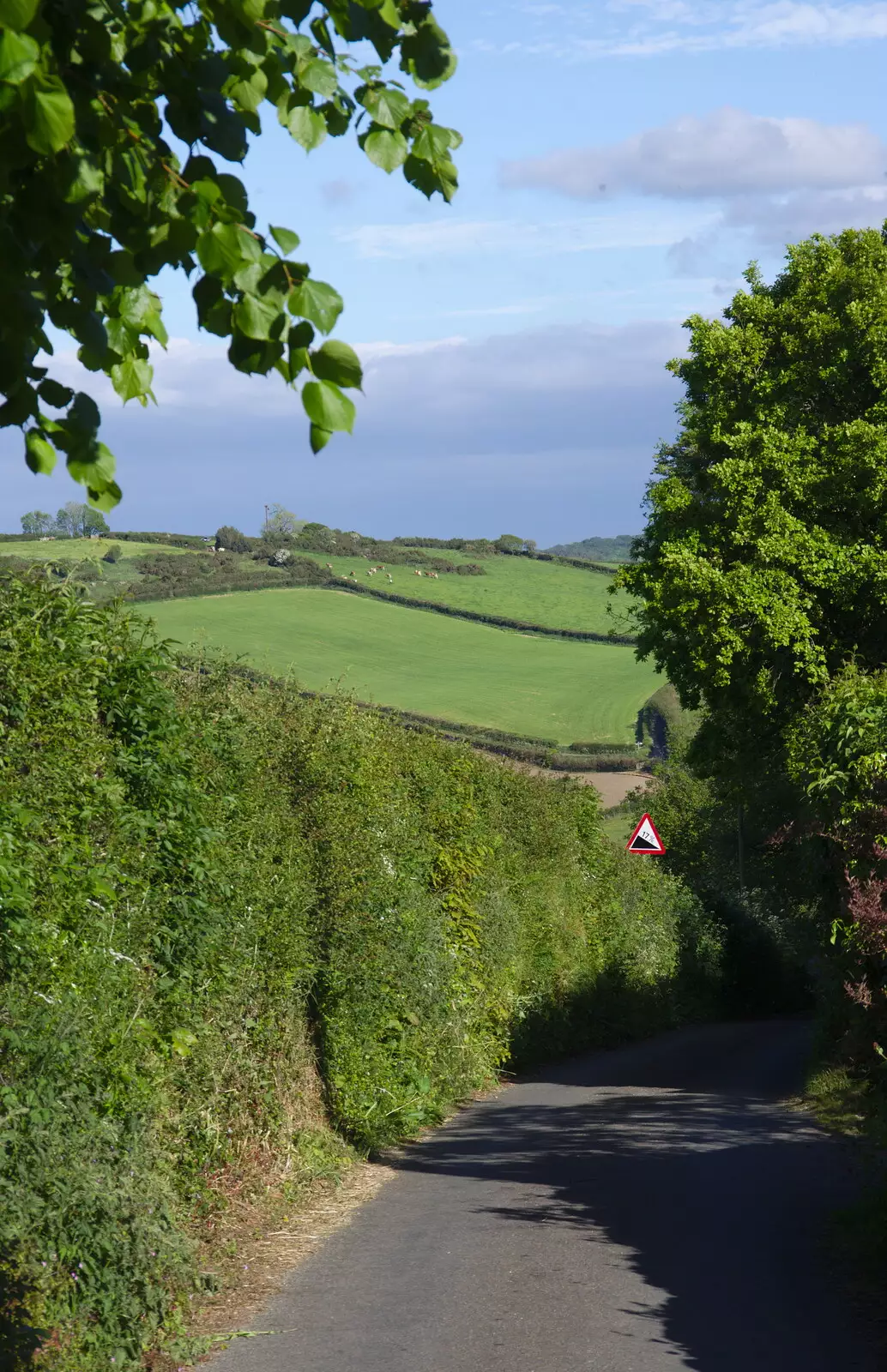 A deep lane, from Chagford Lido and a Trip to Parke, Bovey Tracey, Devon - 25th May 2019