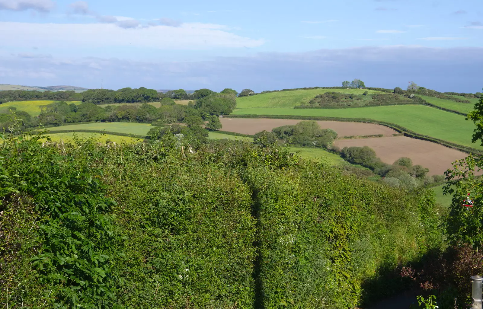 A view from the garden, from Chagford Lido and a Trip to Parke, Bovey Tracey, Devon - 25th May 2019