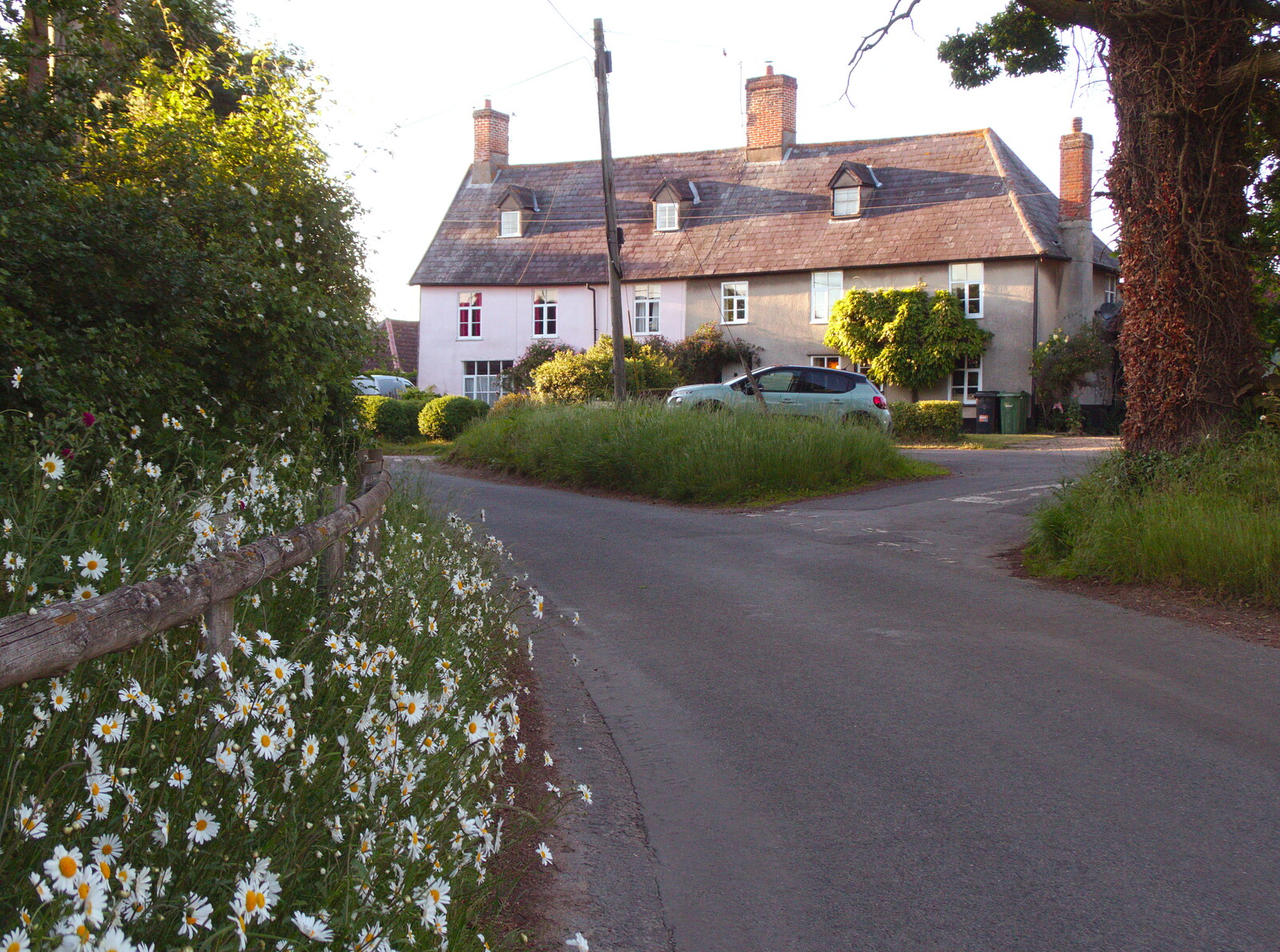 The BSCC at Gissing, Taxi Protests and Eye Scarecrows - 8th June 2019: Dog daisies and Gissing houses