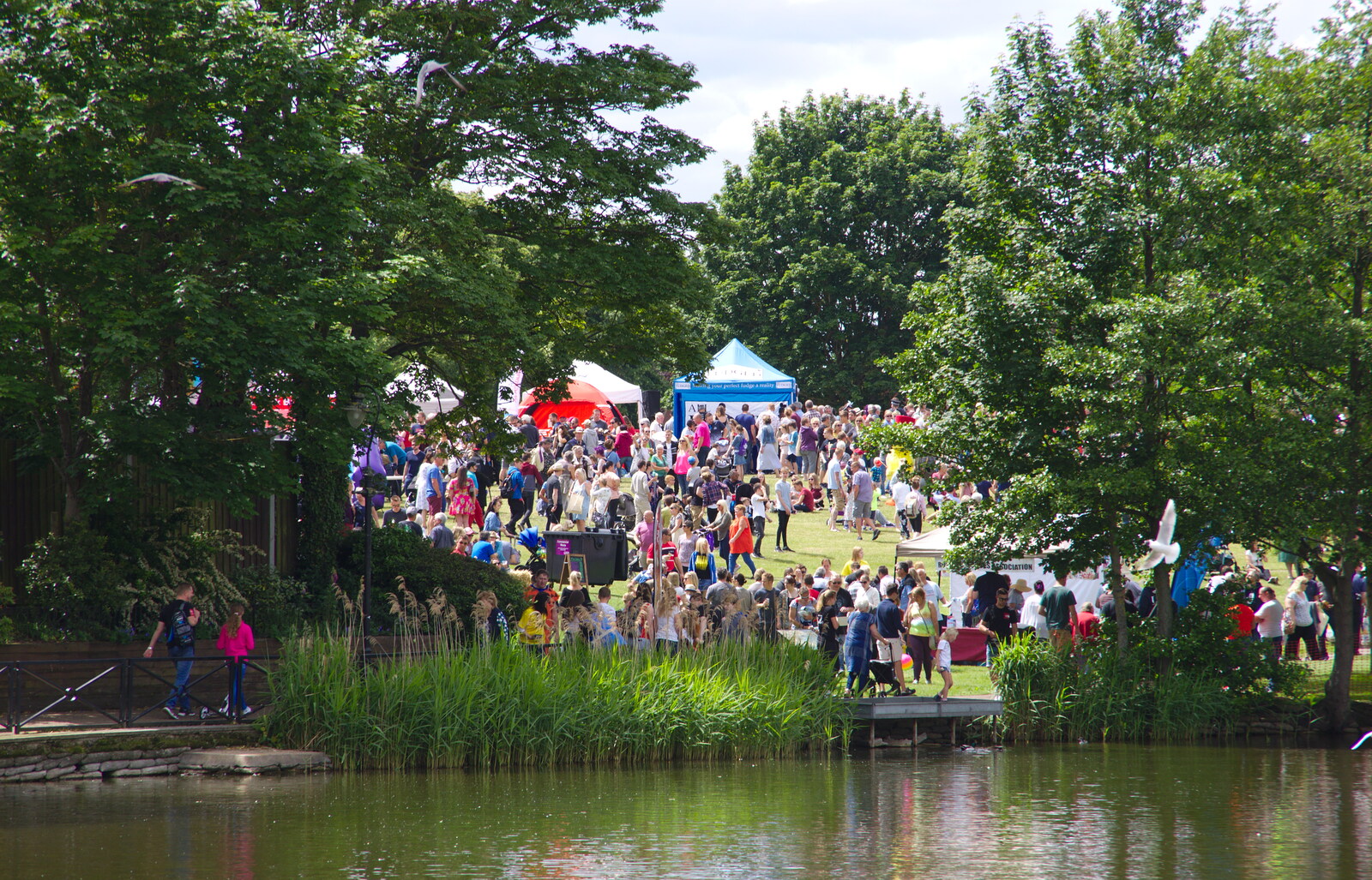 A view of the park from The Diss Carnival 2019, Diss, Norfolk - 9th June 2019