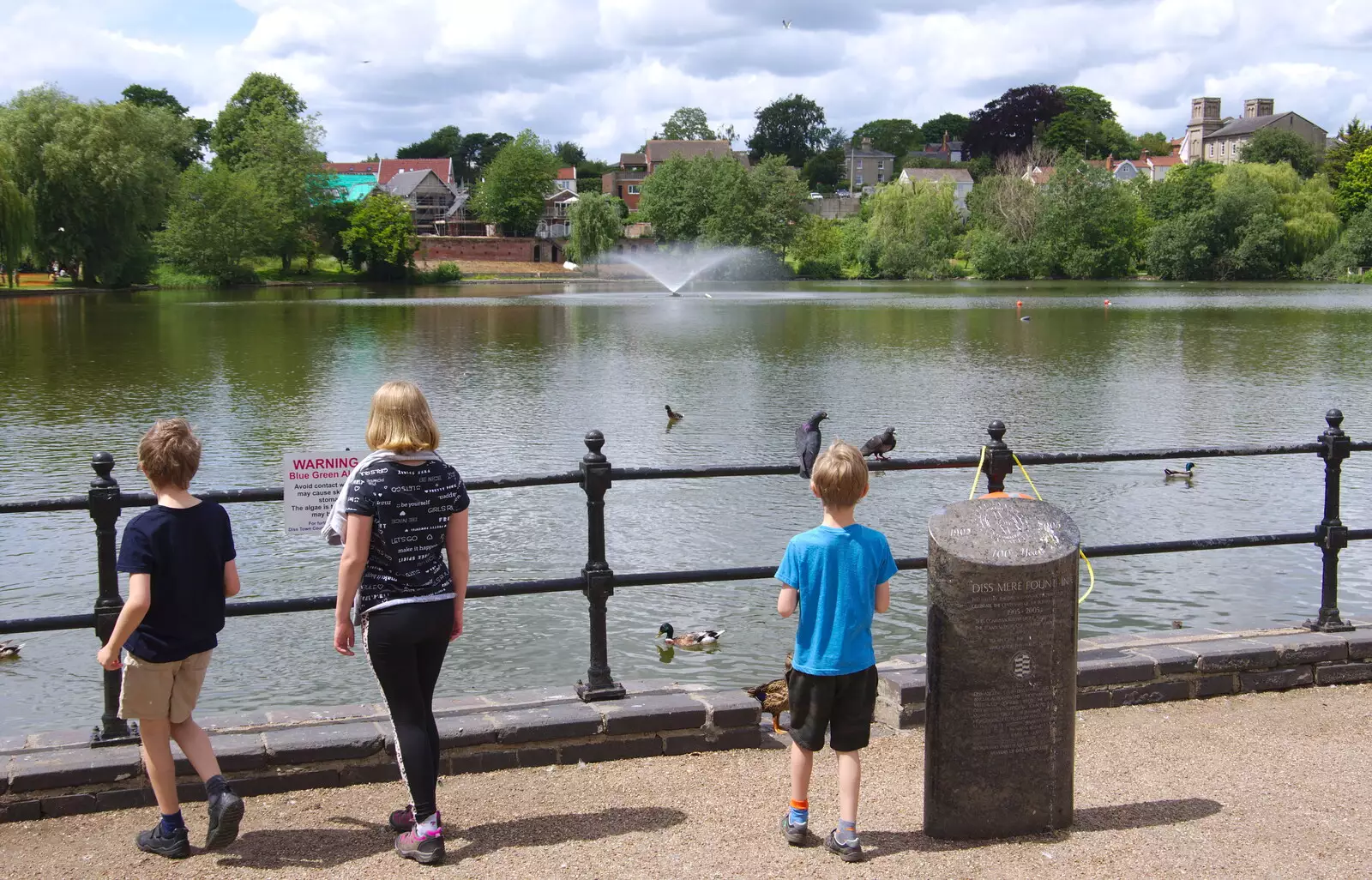 We check out the Mere, from The Diss Carnival 2019, Diss, Norfolk - 9th June 2019