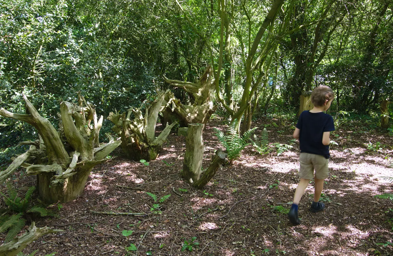 Fred roams around in a small stumpery, from The Diss Carnival 2019, Diss, Norfolk - 9th June 2019