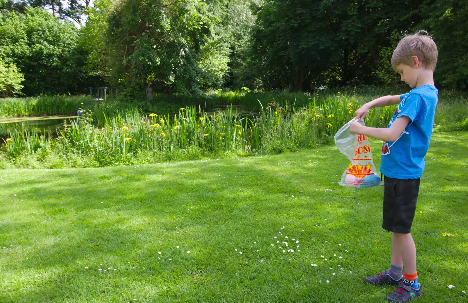 Harry's got some candy floss, from The Diss Carnival 2019, Diss, Norfolk - 9th June 2019