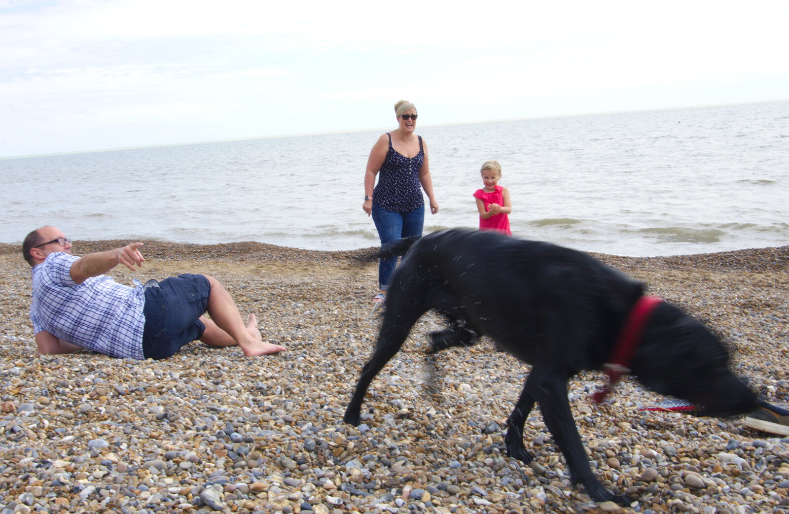 Andrew narrowly avoids a wet-dog shake from Cliff House Camping, Dunwich, Suffolk - 15th June 2019