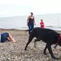 Andrew narrowly avoids a wet-dog shake, Cliff House Camping, Dunwich, Suffolk - 15th June 2019