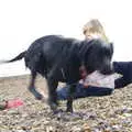 Tilly Dog has a shake, Cliff House Camping, Dunwich, Suffolk - 15th June 2019